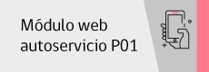 modulo web01